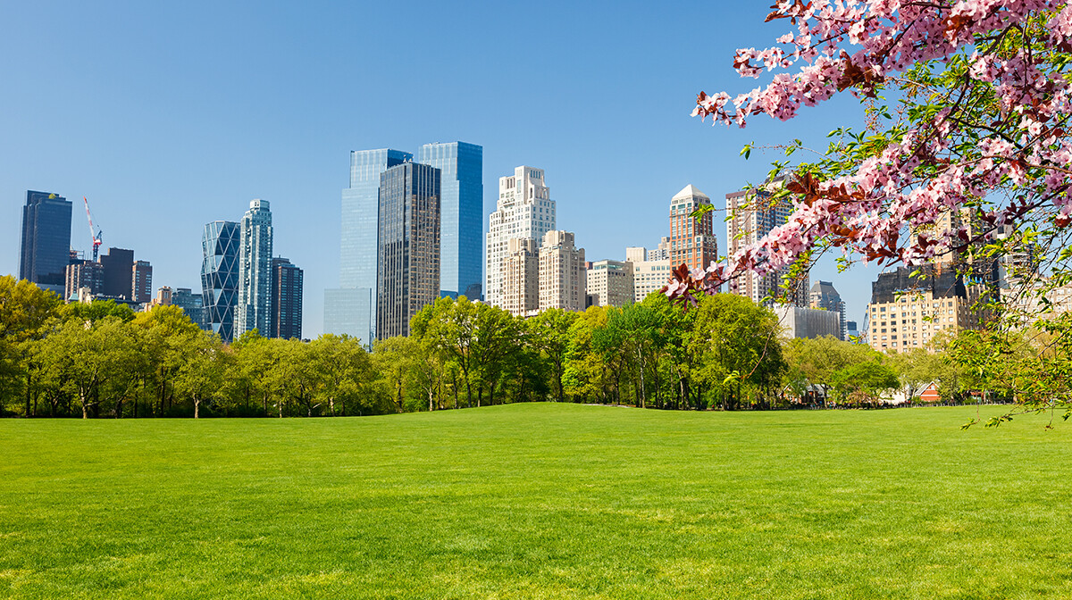 2025/04/Putovanje-New-York-Washington-27.jpg